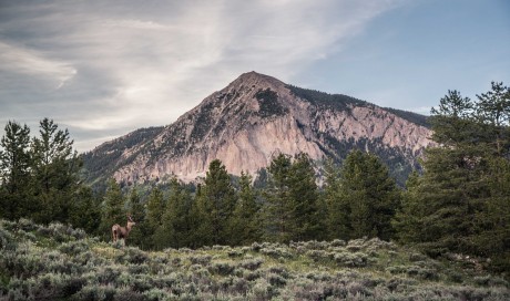The Colorado Rockies