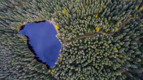The Black Forest | Germany