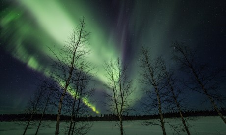 The Arctic | Swedish Lapland